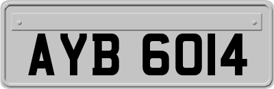 AYB6014