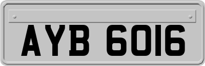 AYB6016