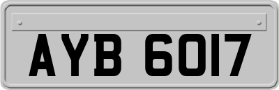 AYB6017