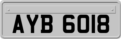 AYB6018