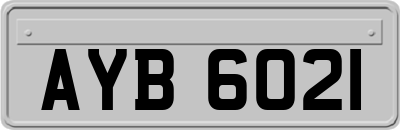 AYB6021