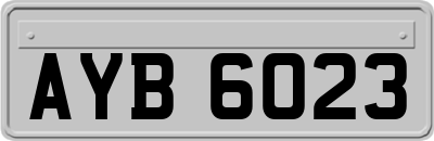 AYB6023