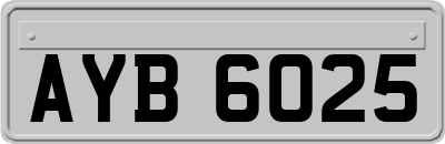 AYB6025