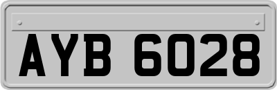 AYB6028