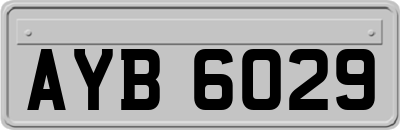 AYB6029
