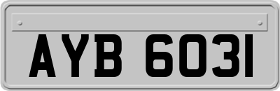 AYB6031