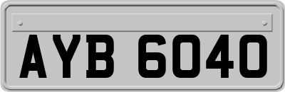 AYB6040
