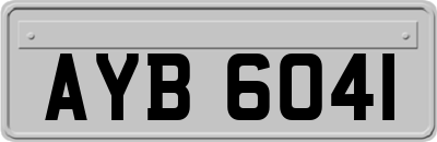 AYB6041