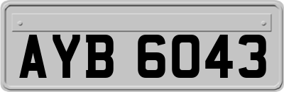 AYB6043