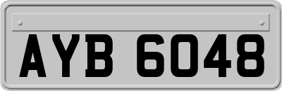 AYB6048