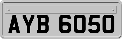 AYB6050
