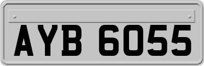 AYB6055
