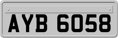 AYB6058