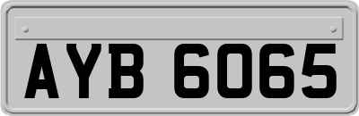 AYB6065