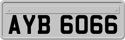 AYB6066
