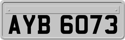 AYB6073