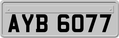AYB6077