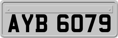 AYB6079