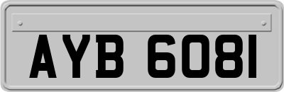 AYB6081