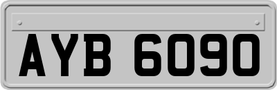 AYB6090