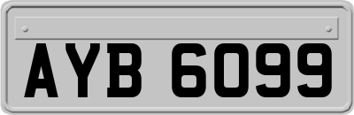 AYB6099