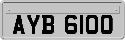 AYB6100