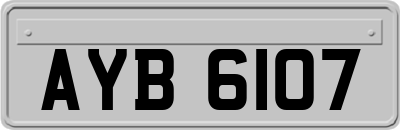AYB6107