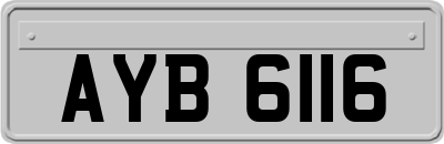 AYB6116