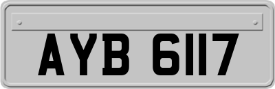 AYB6117