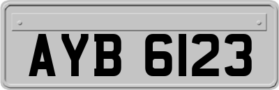 AYB6123