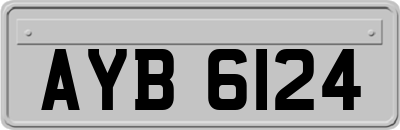 AYB6124