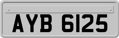 AYB6125