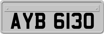 AYB6130