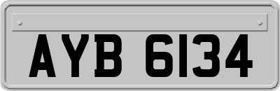 AYB6134