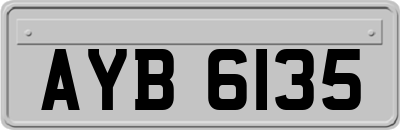 AYB6135