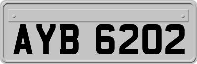 AYB6202