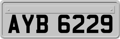 AYB6229