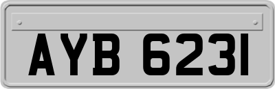AYB6231