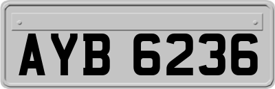 AYB6236
