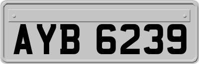 AYB6239