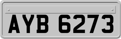 AYB6273