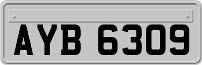 AYB6309