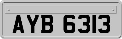 AYB6313