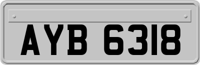 AYB6318