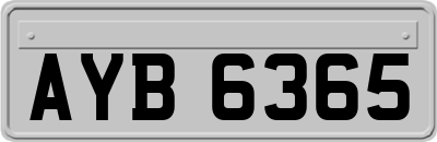 AYB6365