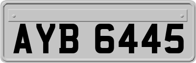 AYB6445