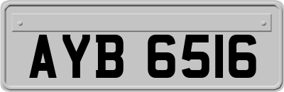 AYB6516