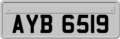 AYB6519
