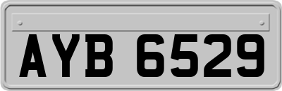 AYB6529
