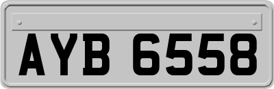 AYB6558